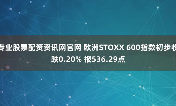 专业股票配资资讯网官网 欧洲STOXX 600指数初步收跌0.20% 报536.29点